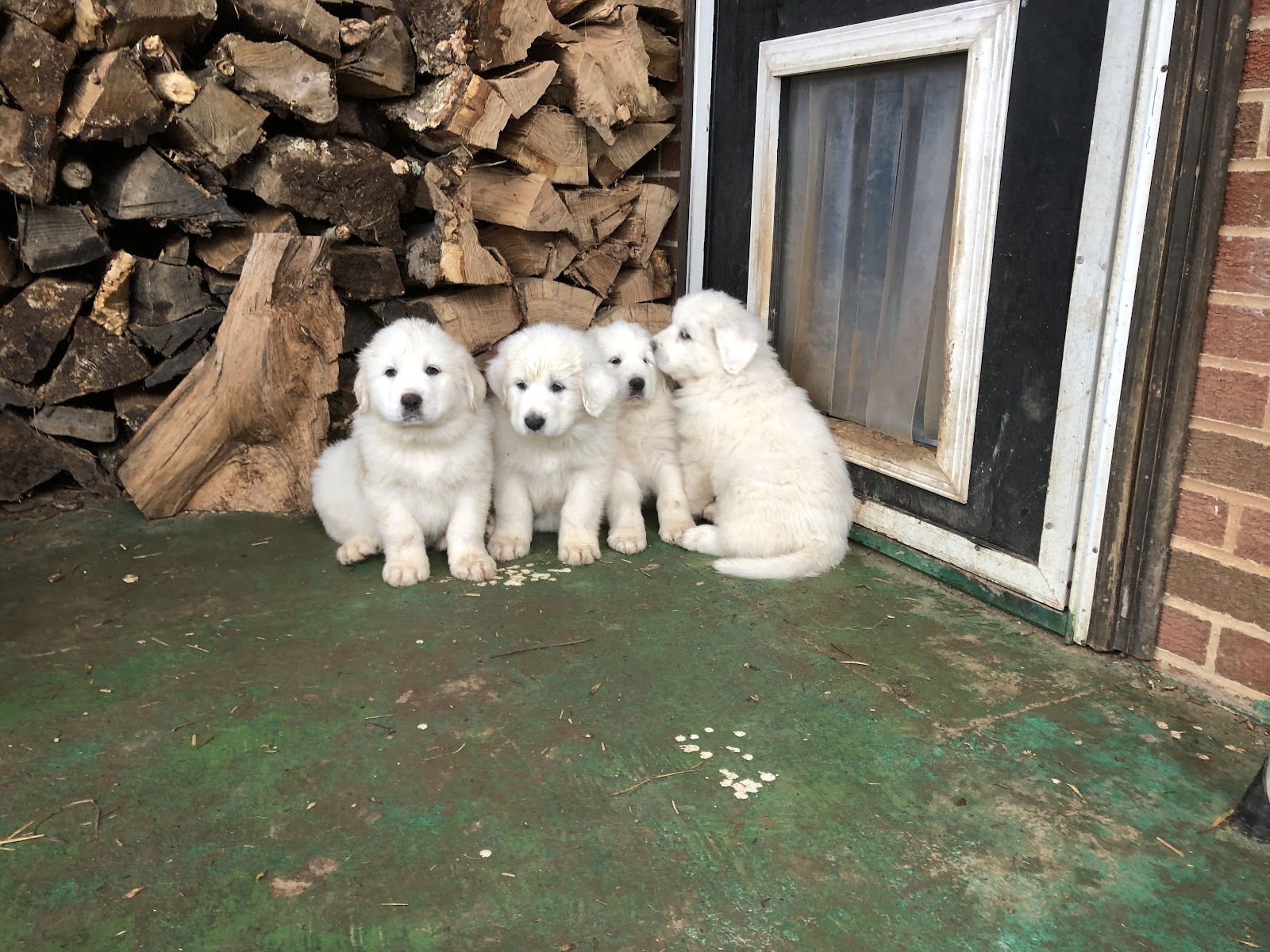Hop-Ayr Farms photo 5