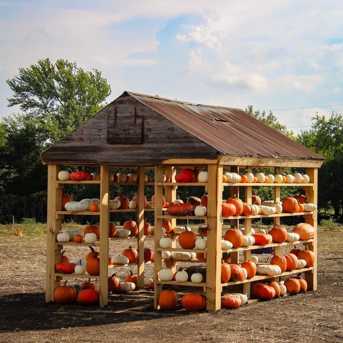 Fieldstone Orchard and Farm photo 2
