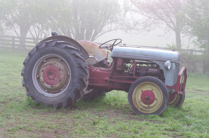 Daggletail Farm