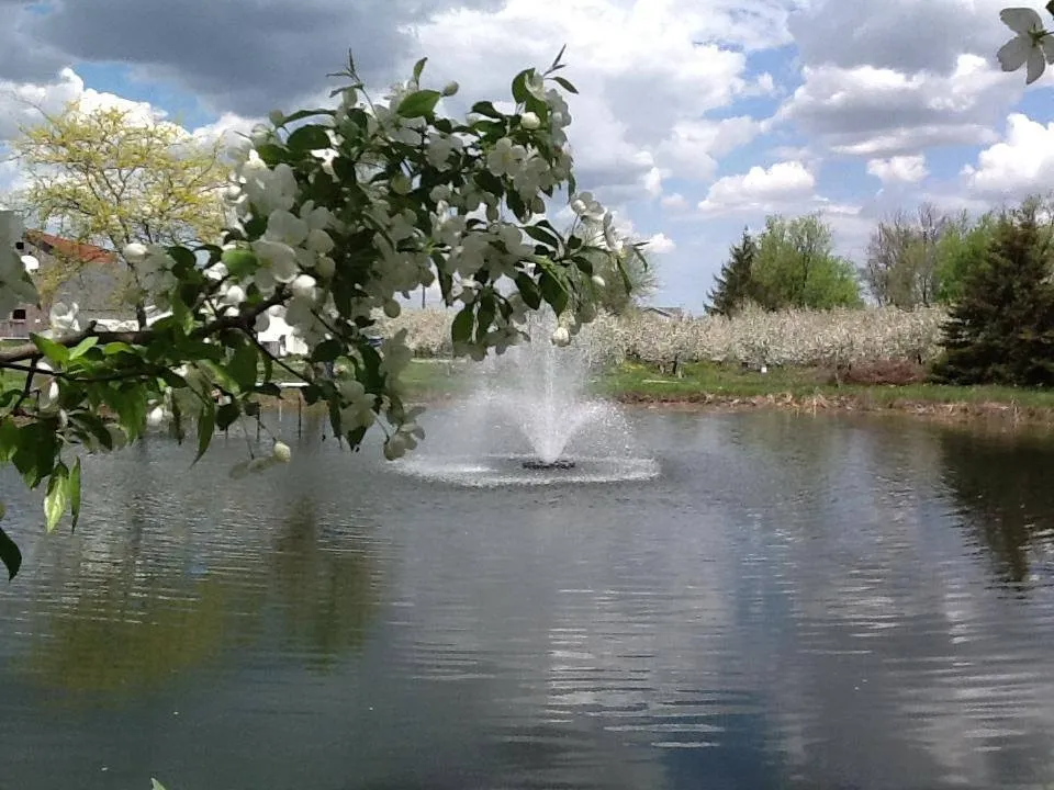 Cook's Orchard and Farm Market