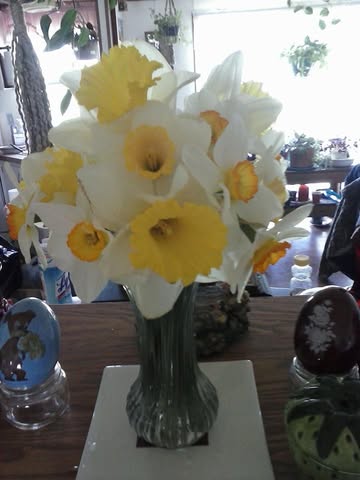 Garden Sass Farmers Market