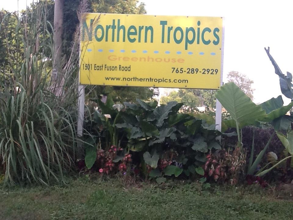 Northern Tropics Greenhouse