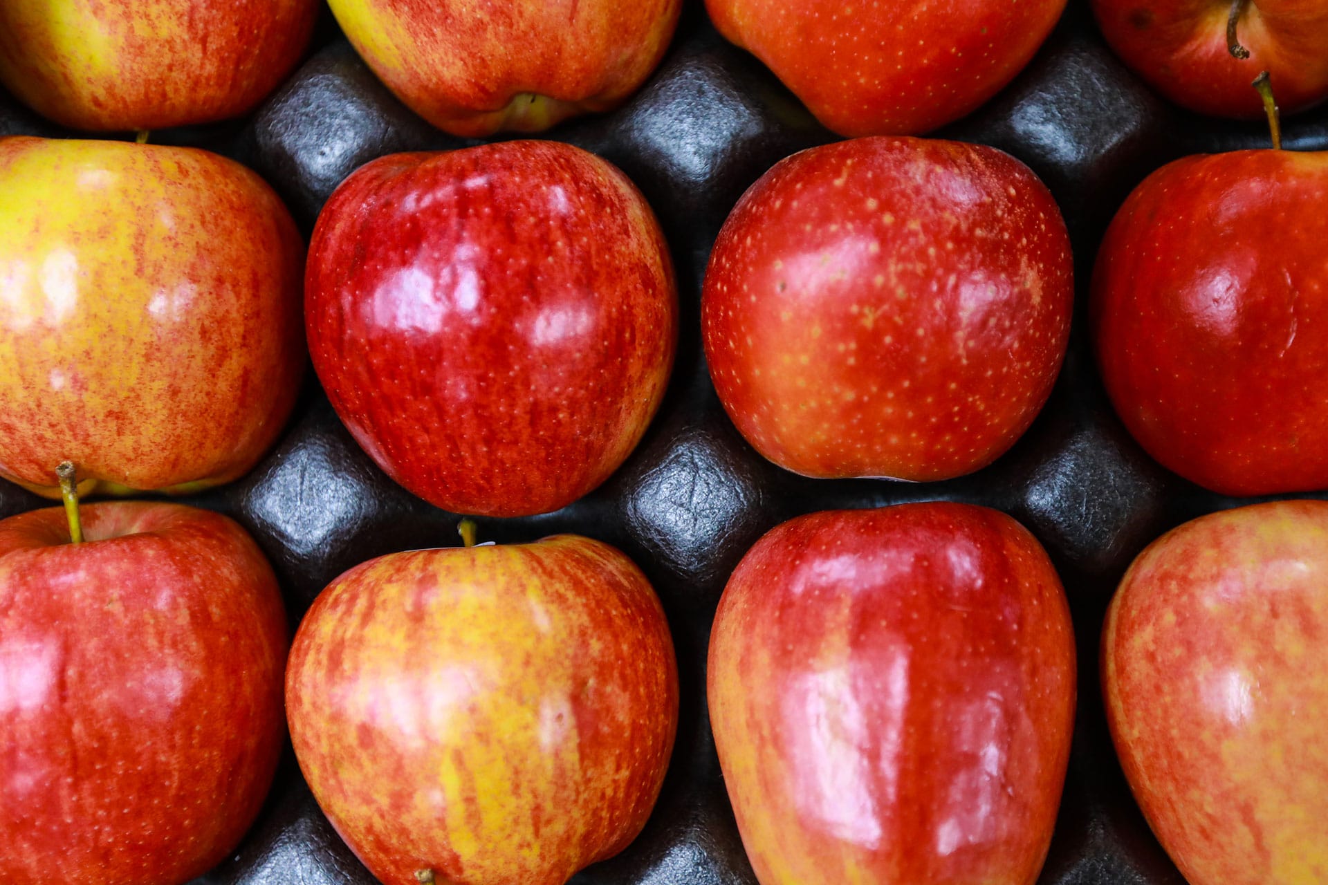 Stiles Farmers Market