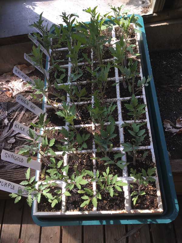 Circle Garden Farm photo 2