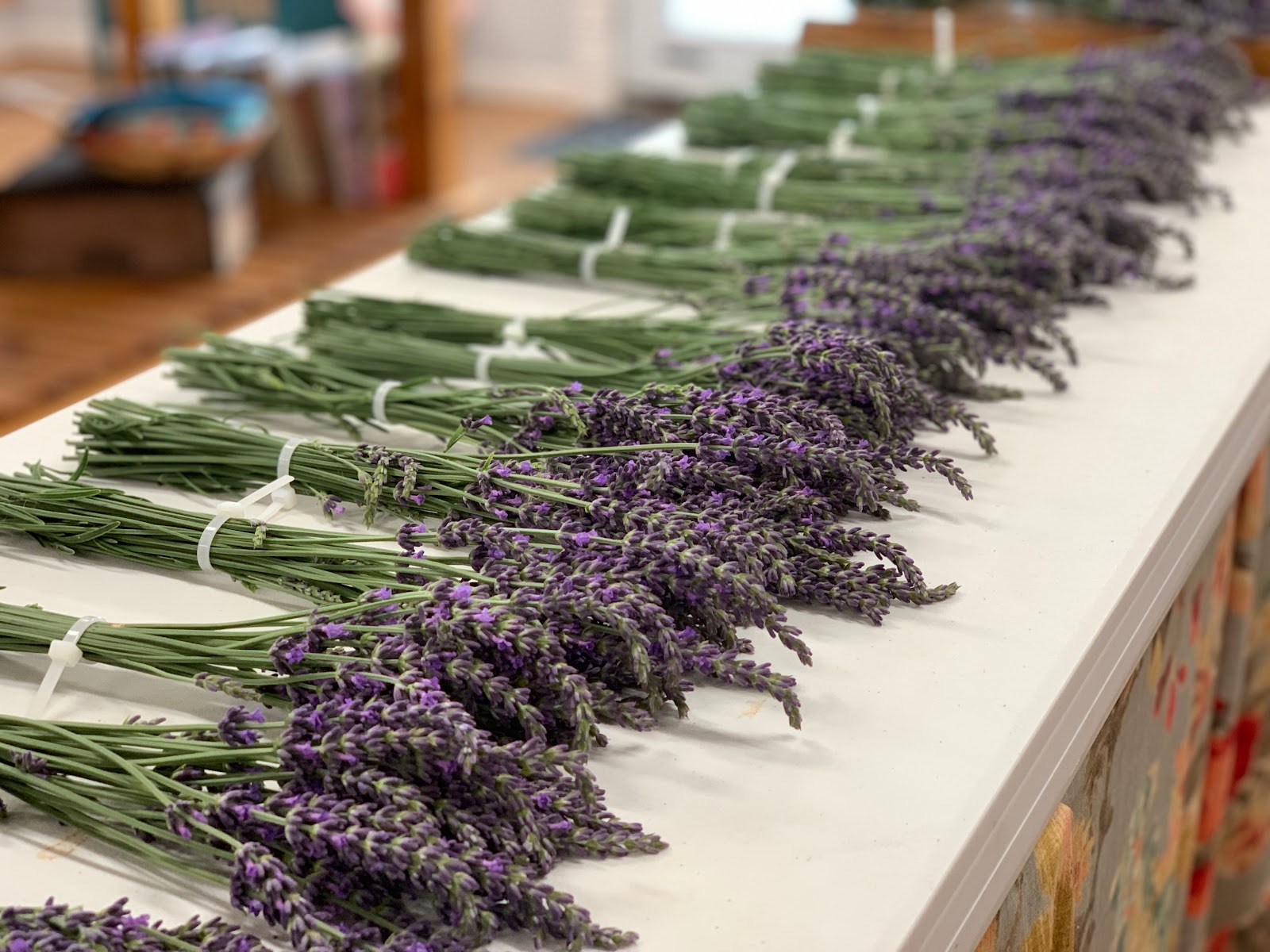 Schooner Farms photo 3