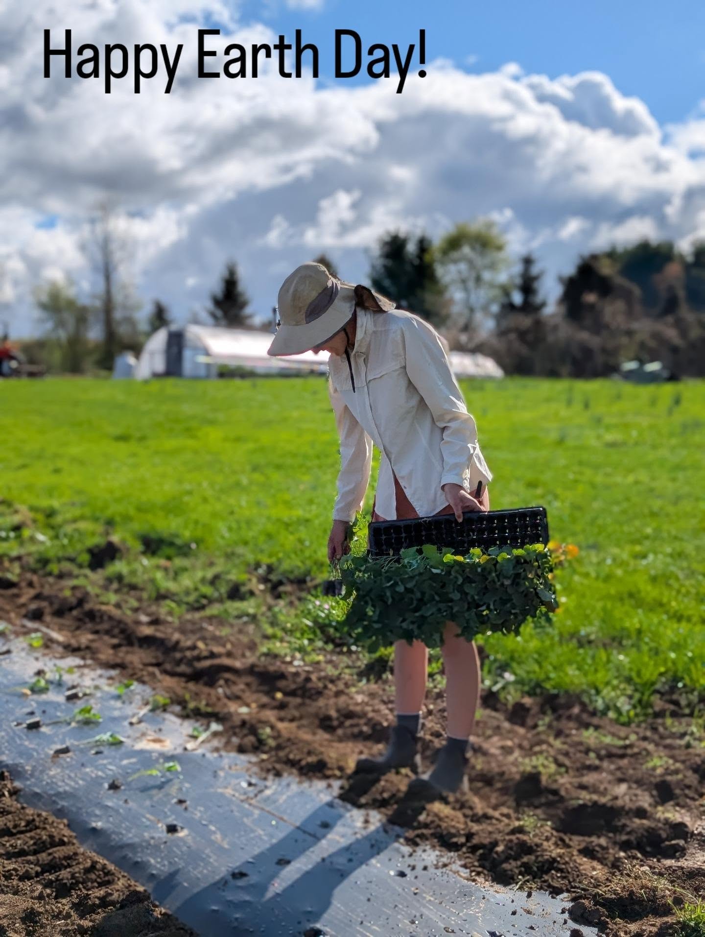 Phillies Bridge Farm Project