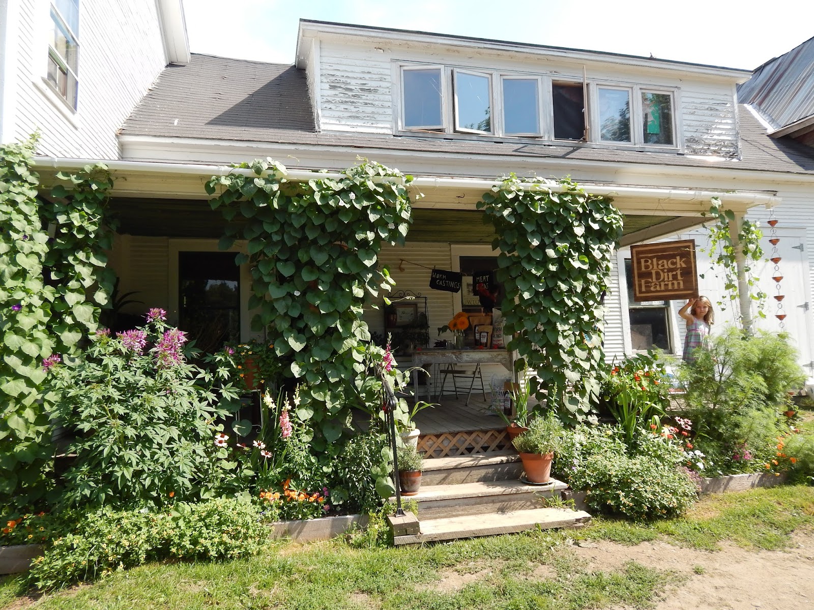 Black Dirt Farm photo 2