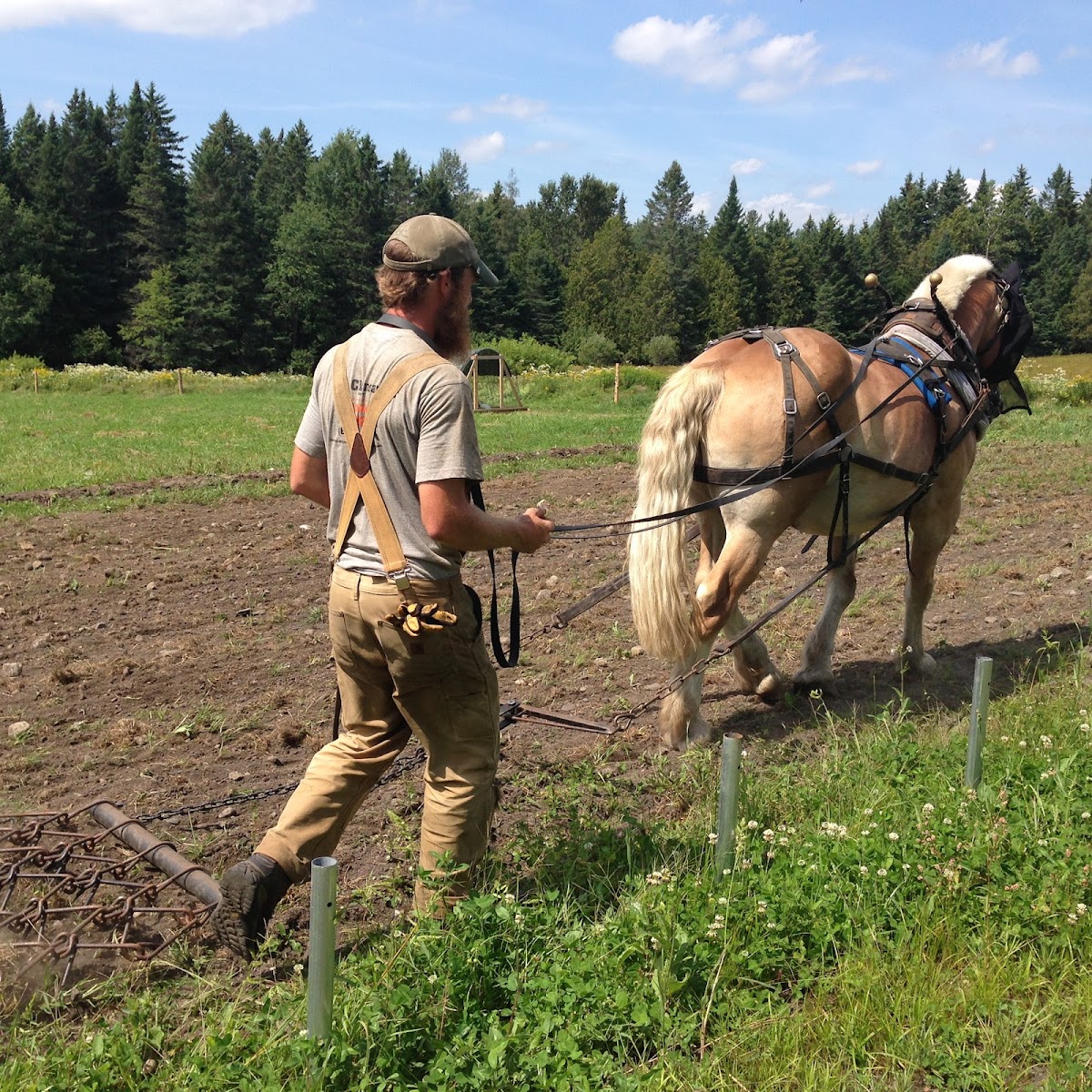 Black Dirt Farm photo 3
