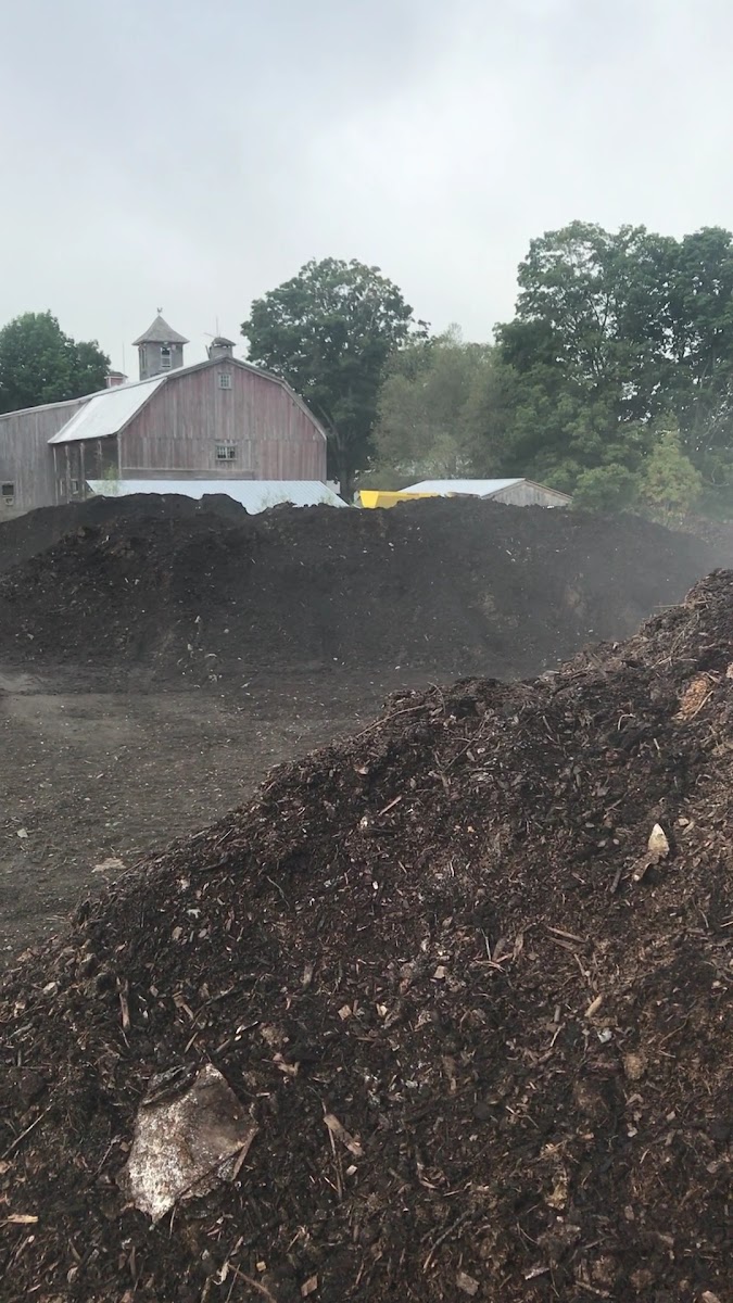 Black Dirt Farm photo 4