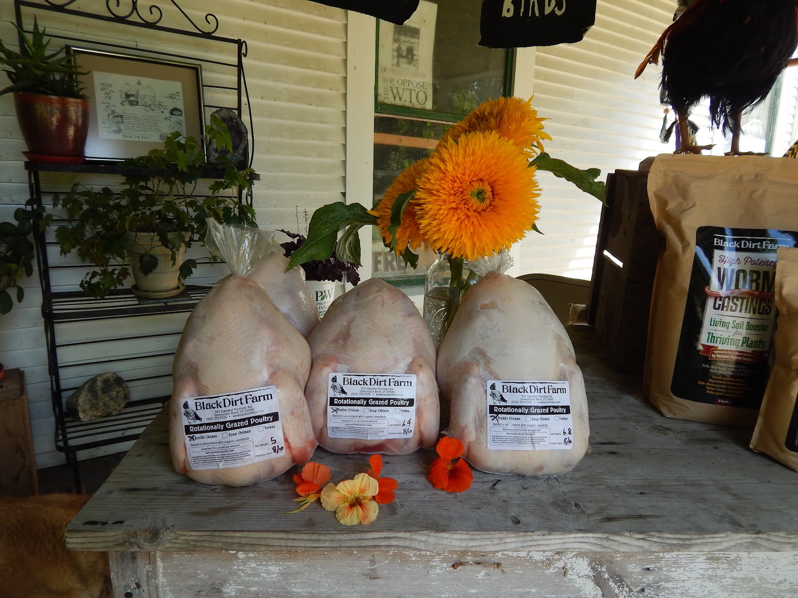 Black Dirt Farm photo 5