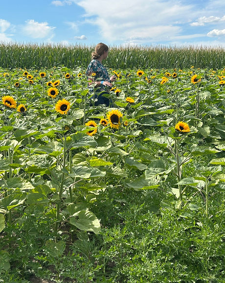 The Berry Farm photo 5