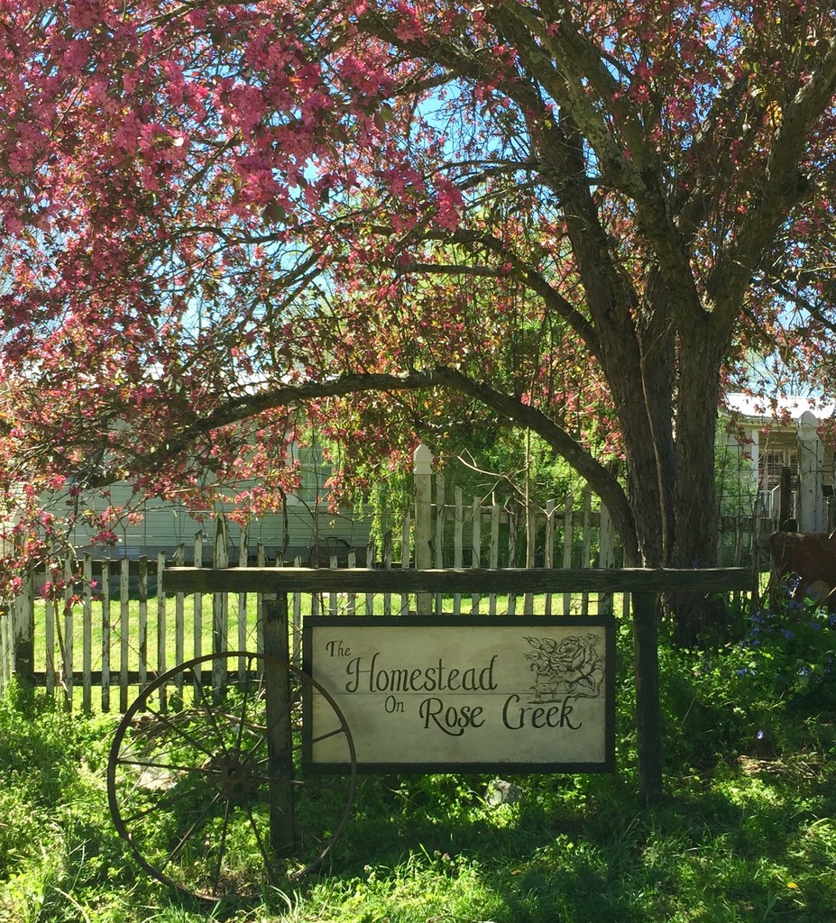 The Homestead On Rose Creek