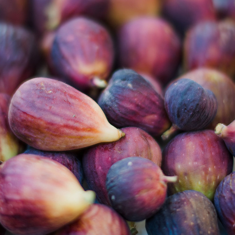 Delcambre Seafood and Farmers Market