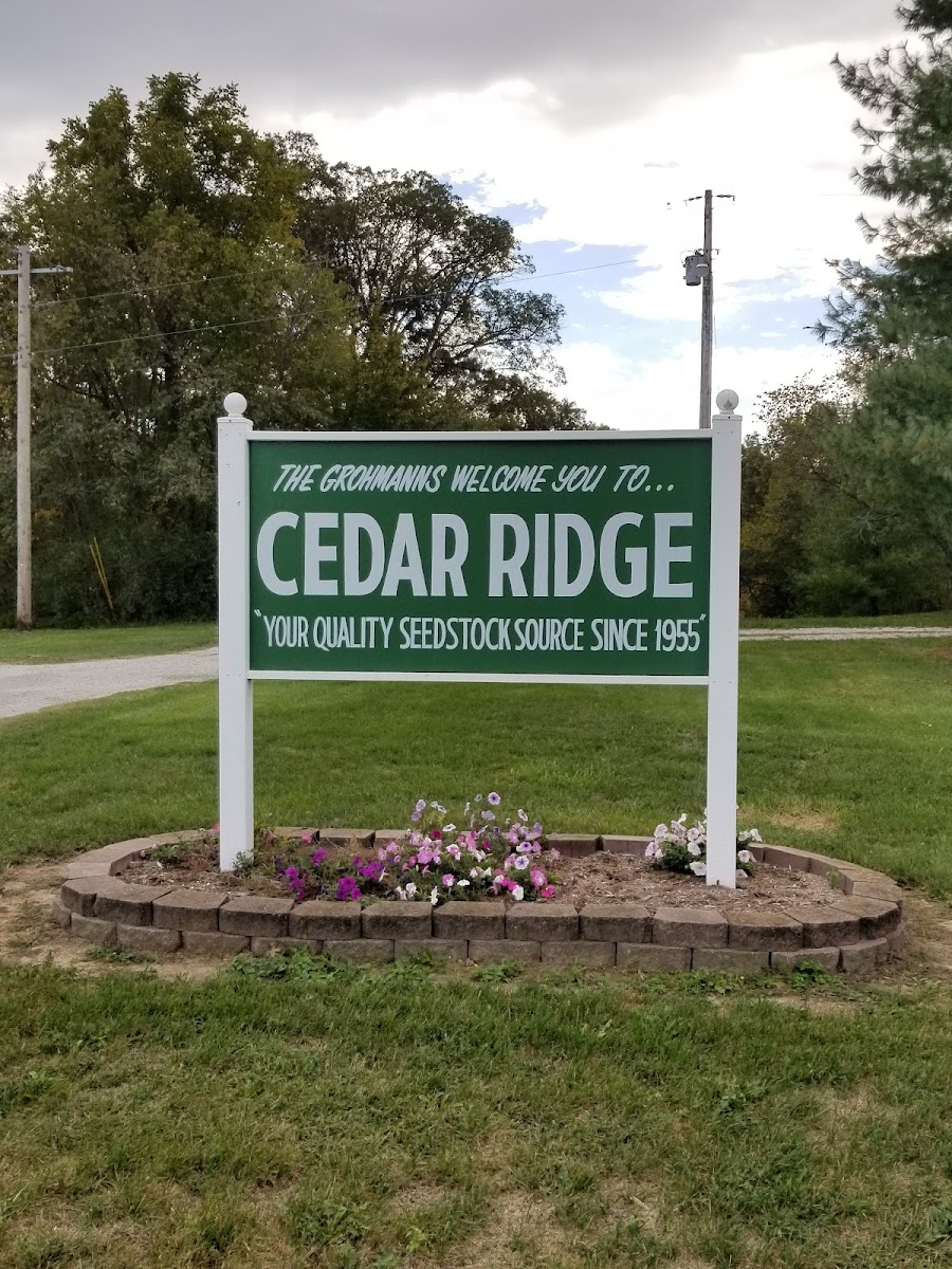 Cedar Ridge Farm Market