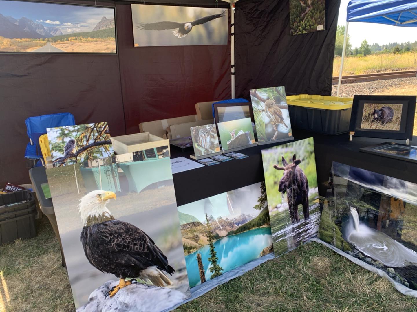 Potlatch Idaho Farmers Market photo 2