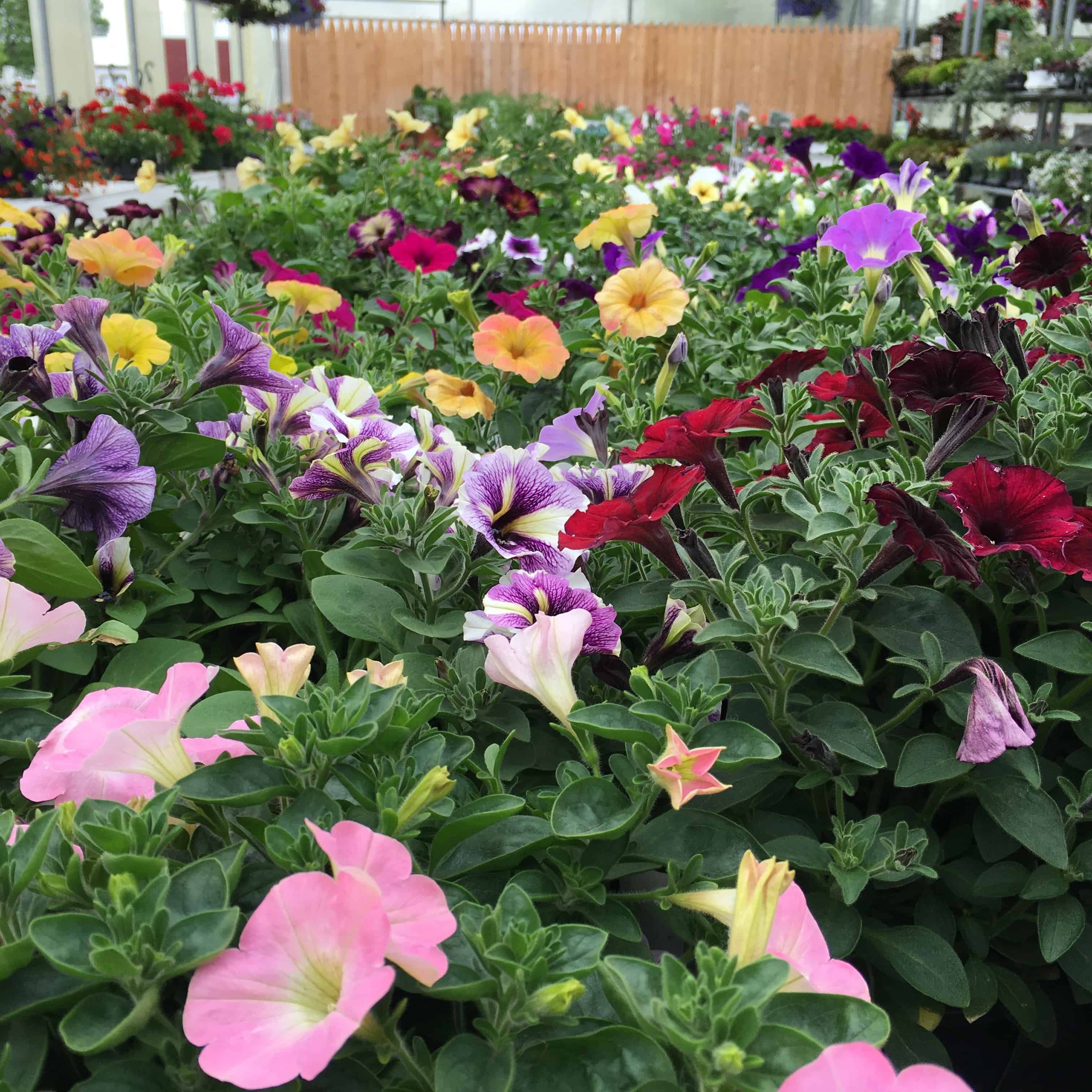 Keller’s Farmstand