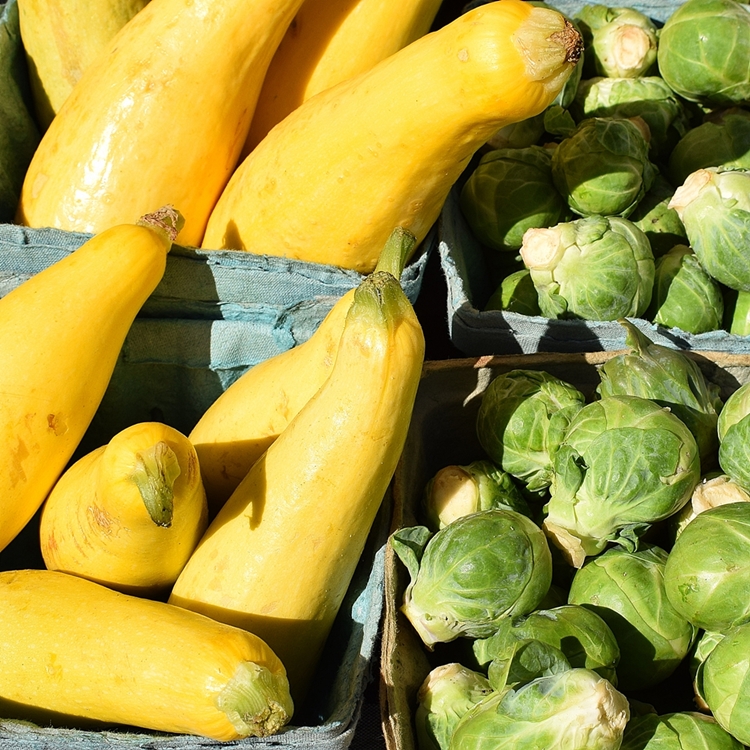 Fernandina Beach Market Place photo 6