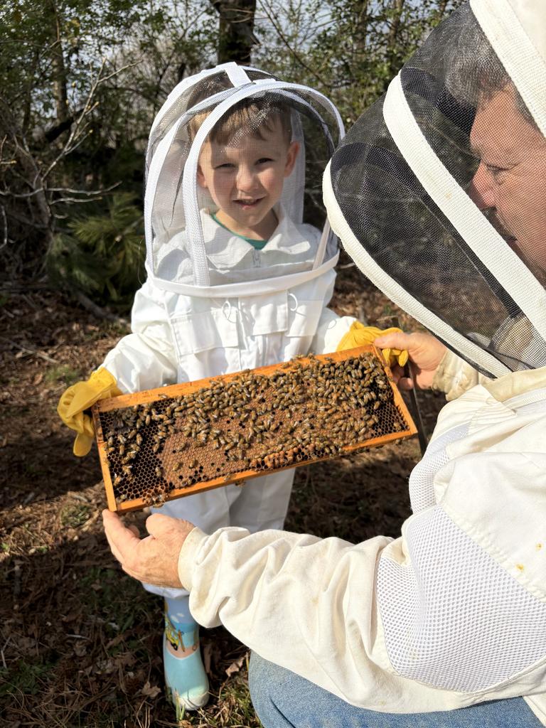 Bad Bear Farm and Apiary
