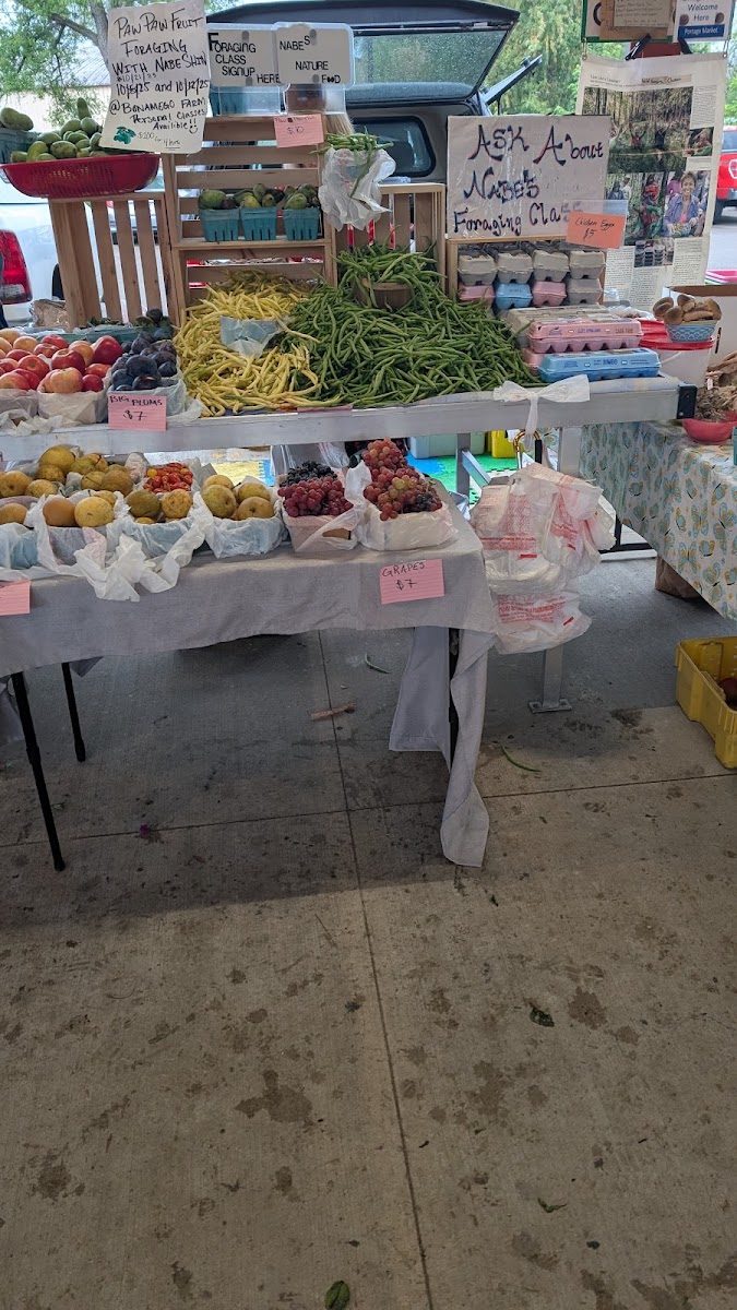Kalamazoo Banks Street Farmers Market photo 3