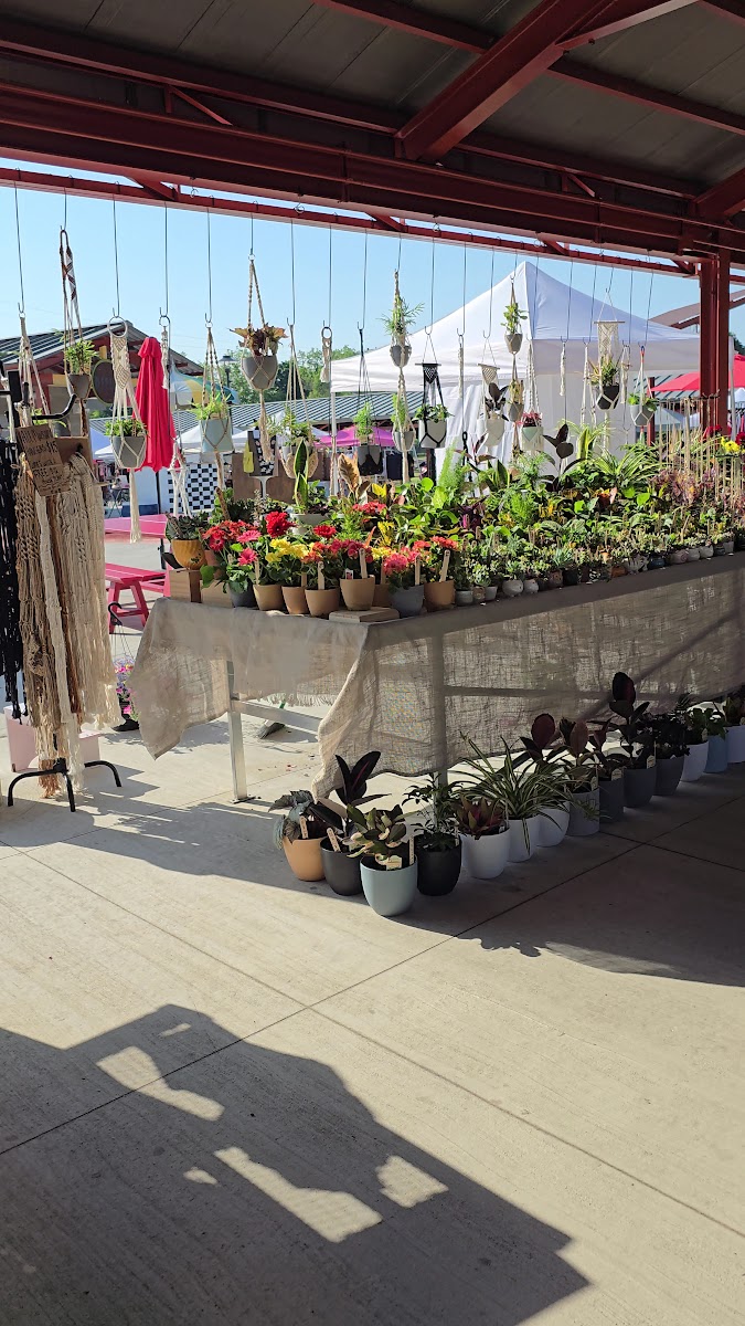 Kalamazoo Banks Street Farmers Market photo 4