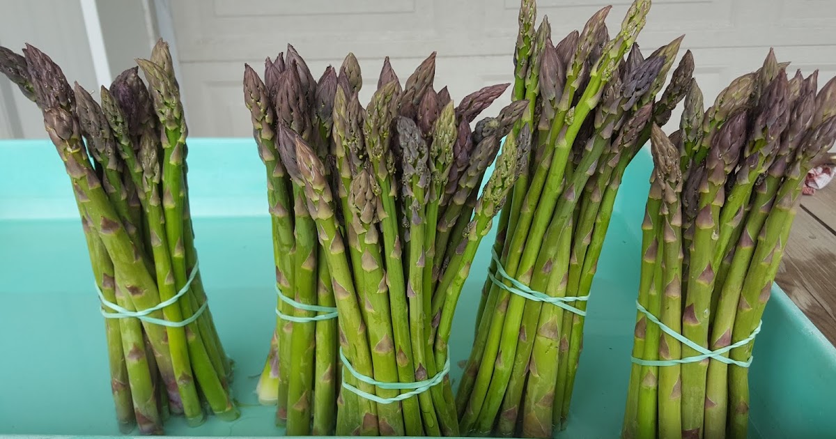 Schlenker Farm Market