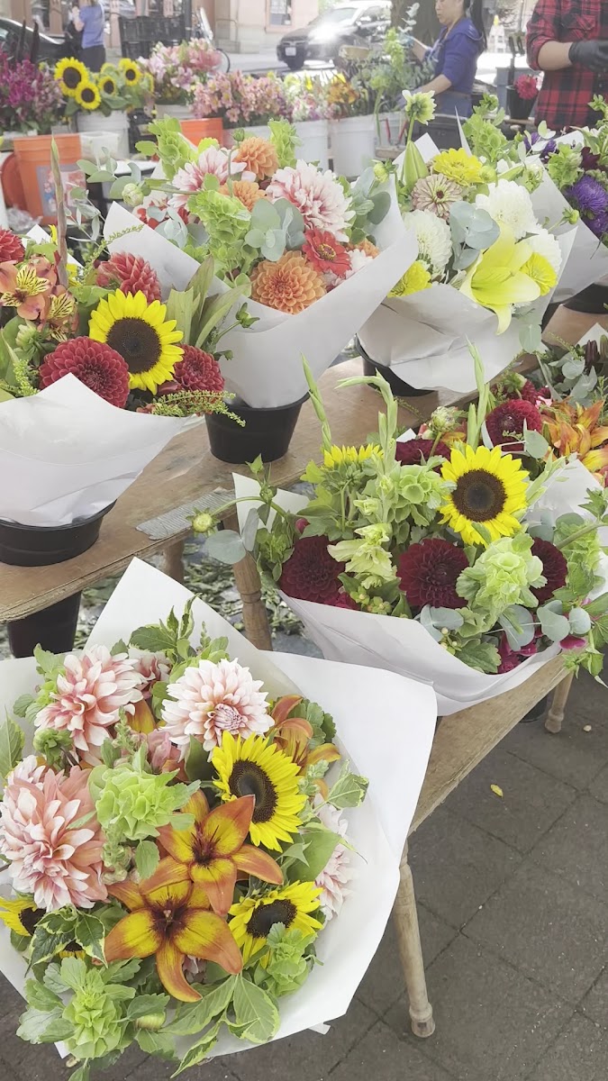 Portland Farmers Market - Shemanski Park photo 4