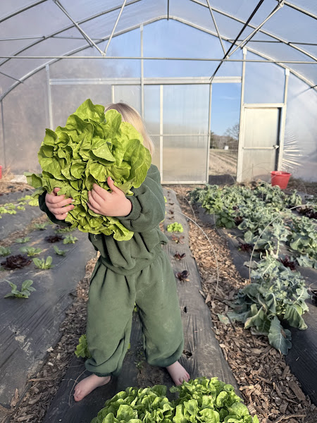 Bloomsbury Farm photo 2