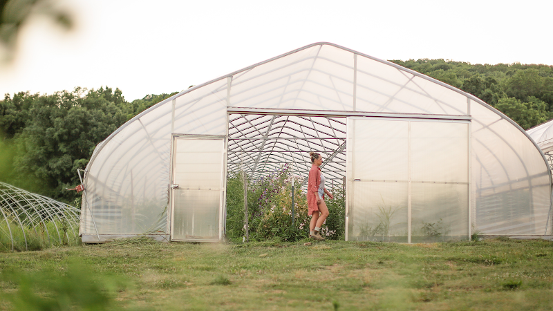 Bloomsbury Farm photo 3