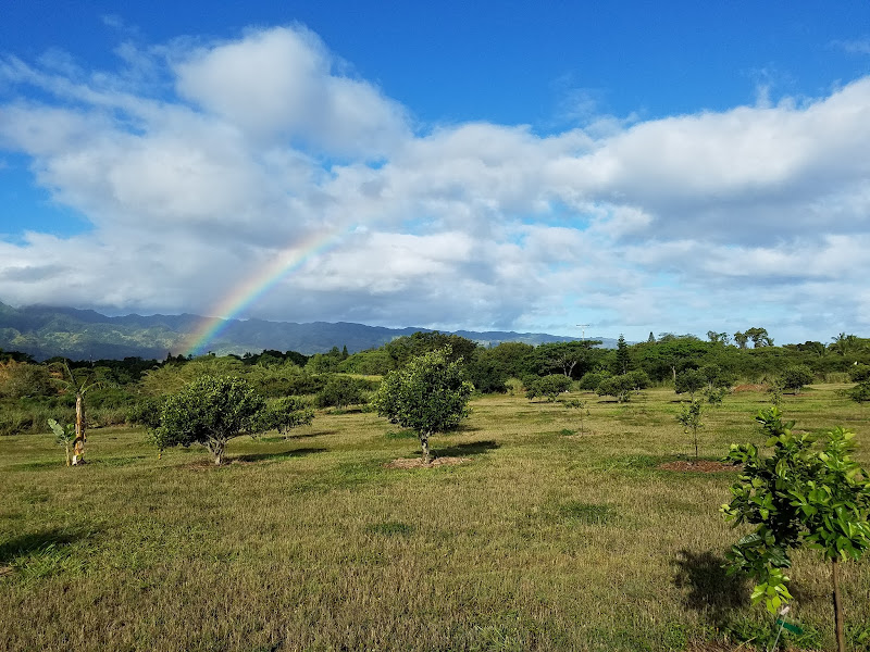 Lokoea Farms