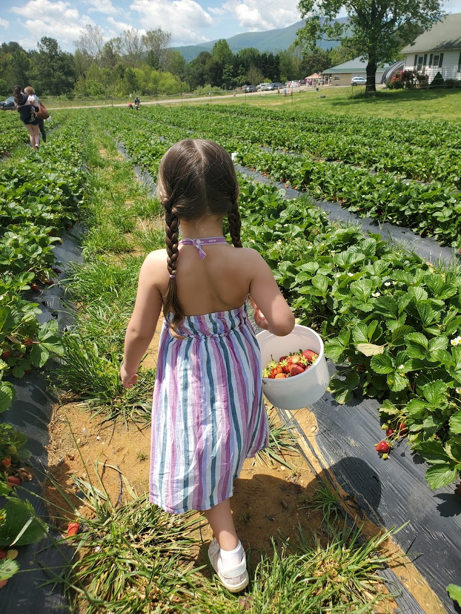 Critzer Family Farm photo 5