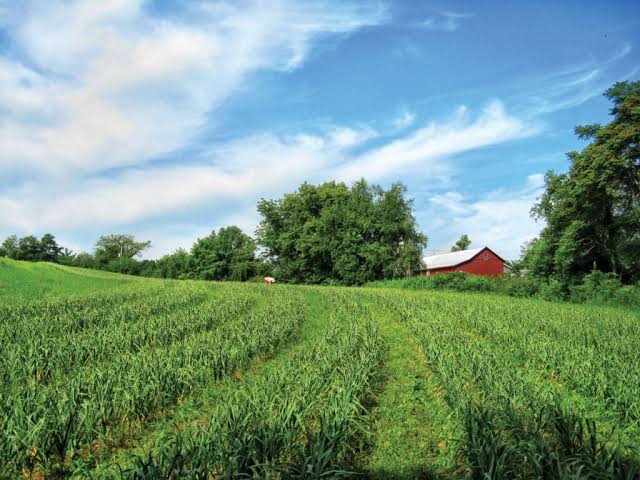 Footprint Farms LLC photo 2