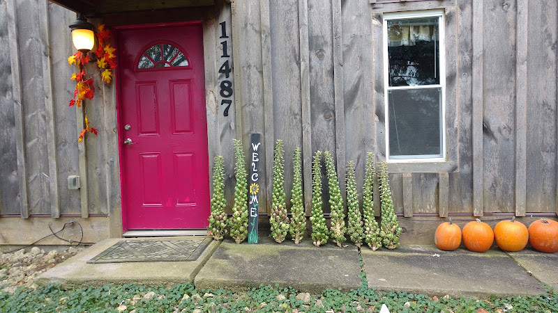 Westwind Farm, LLC and Flour Mill photo 2