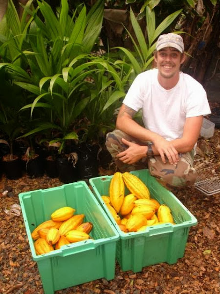 Dragonfruit Farms photo 2