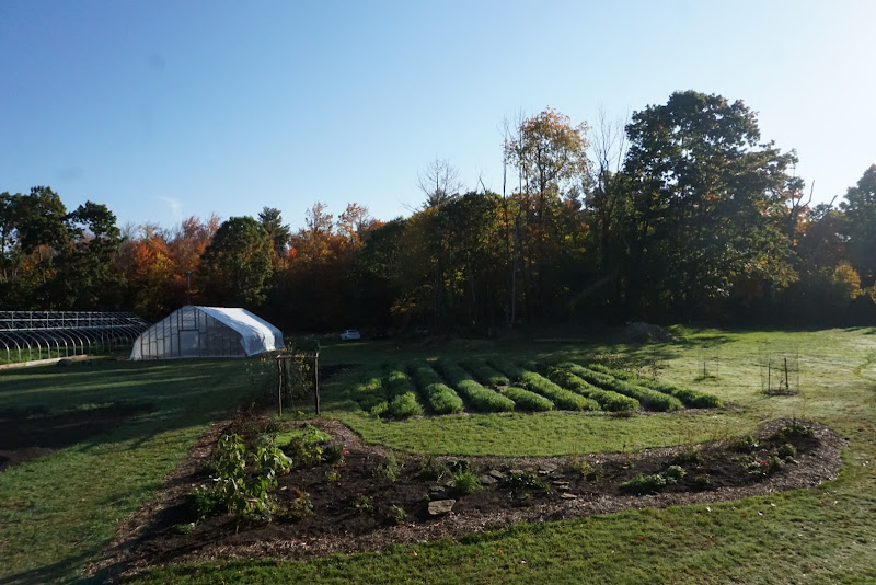 Rattle Root Farm