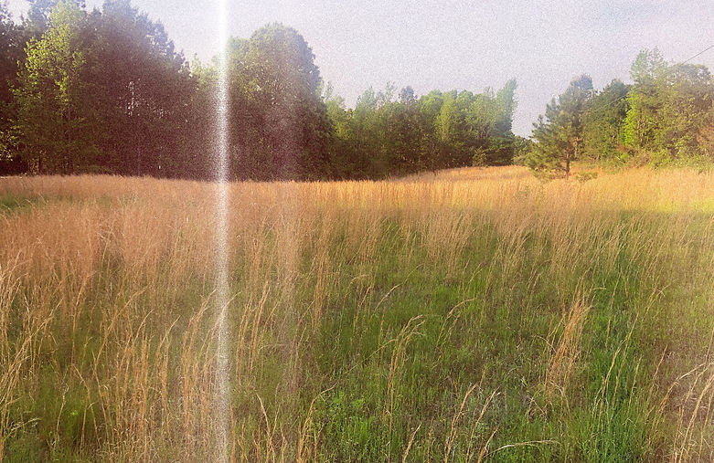 Foxfire Farm photo 8