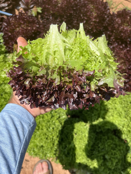 Fair Share Farm LLC photo 2