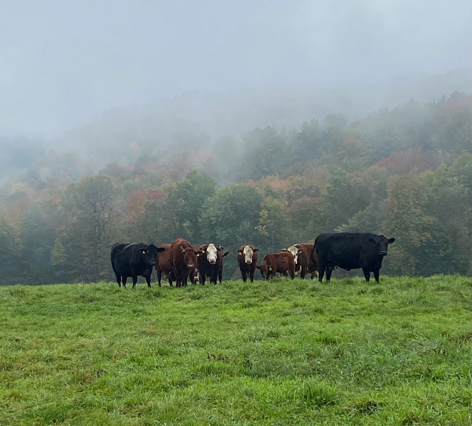 High Ridge Meadows Farm, LLC
