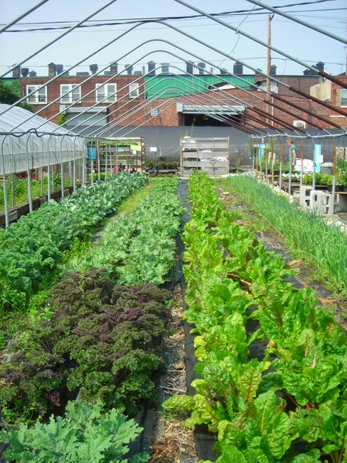 Greensgrow Farms photo 2