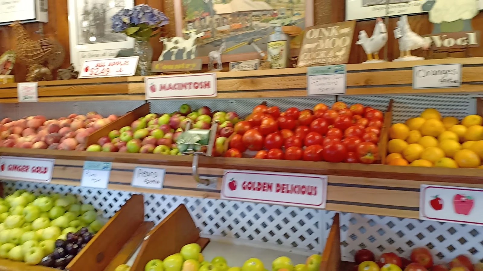 Silverman's Farm photo 3