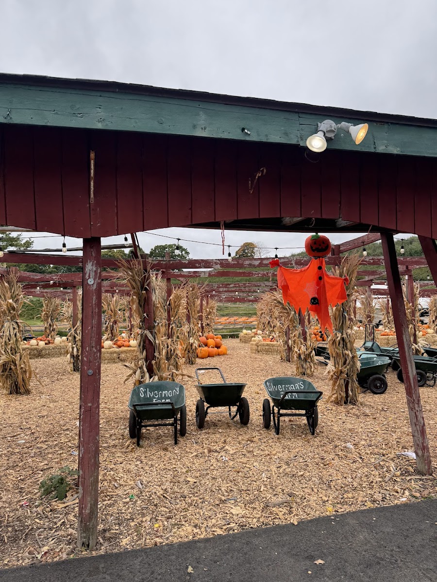 Silverman's Farm photo 4