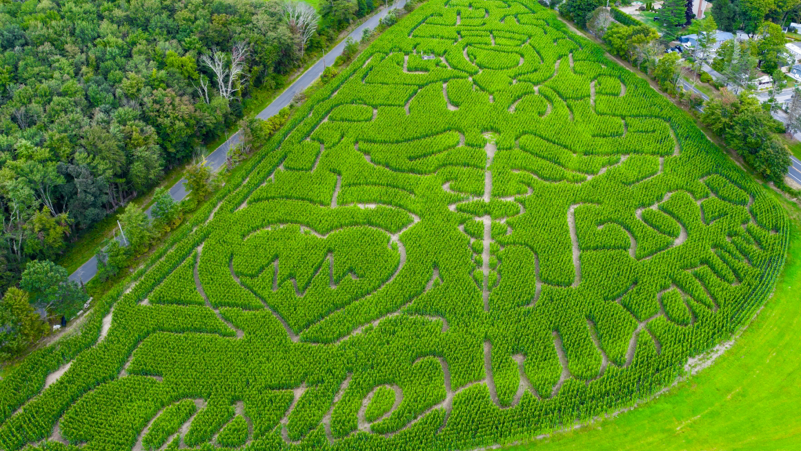 Silverman's Farm photo 7