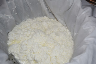 Honey Milk Farms photo 13