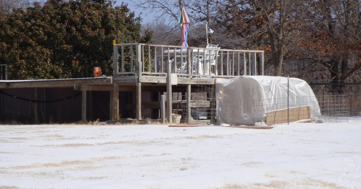 Honey Milk Farms photo 3