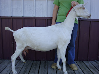 Honey Milk Farms photo 7