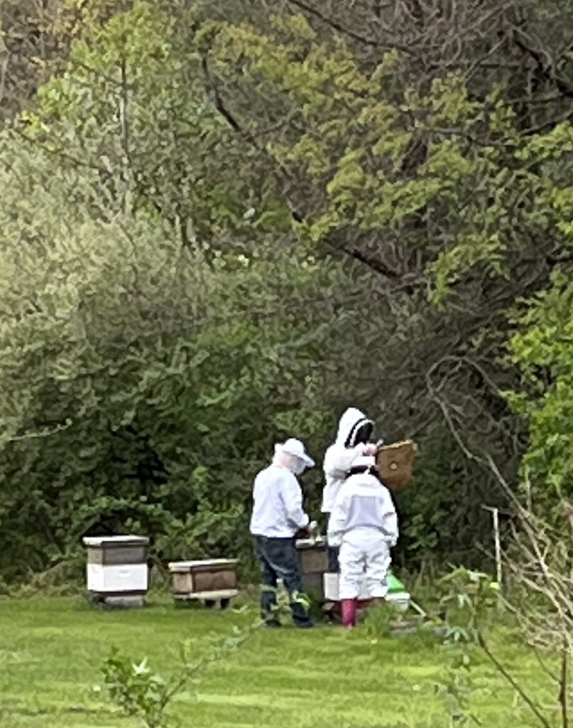 Bee Guy Supplies, LLC