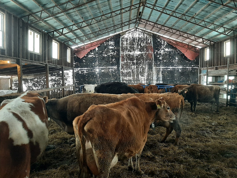 Be Whole Again Farm – Kansas City