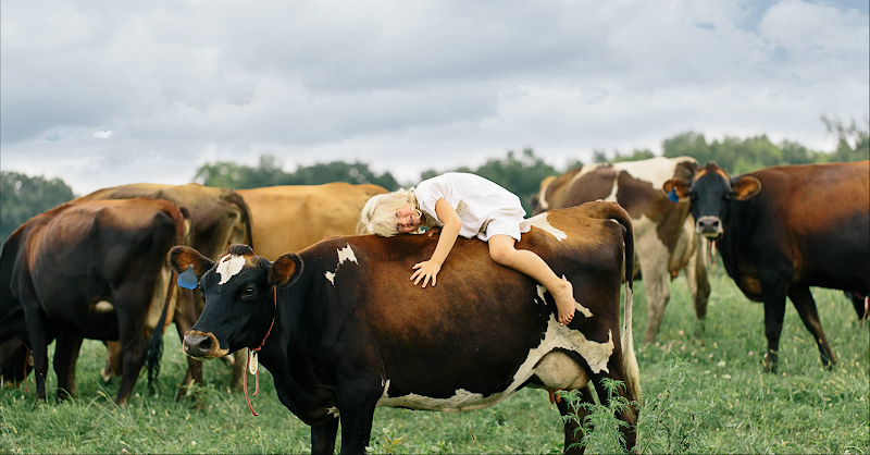 Be Whole Again Farm – Kansas City photo 3