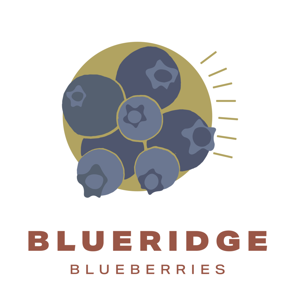 Blueridge Blueberries