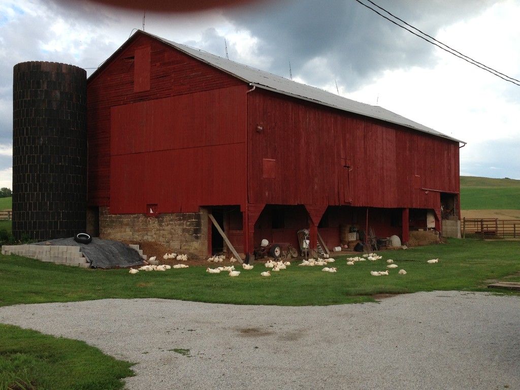 Brown Bros. Farms, LLC