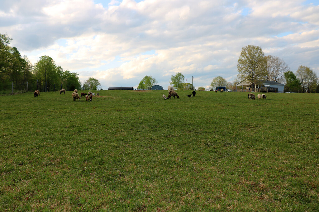 Brown Family Farm
